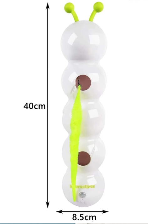 The Crawling Caterpillar Tail Adventure