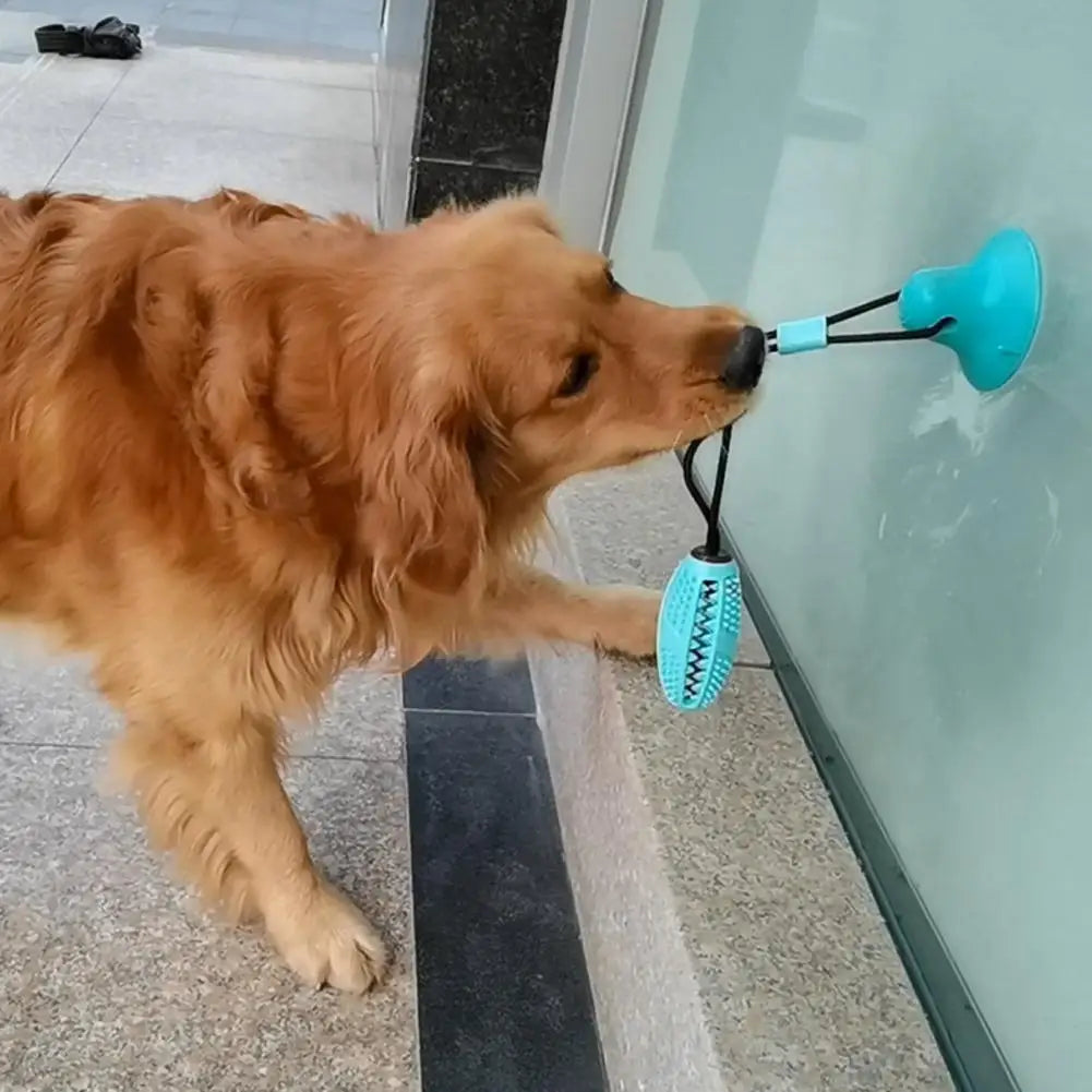 PawGrip - Interactive Dog Chew & Treat Toy