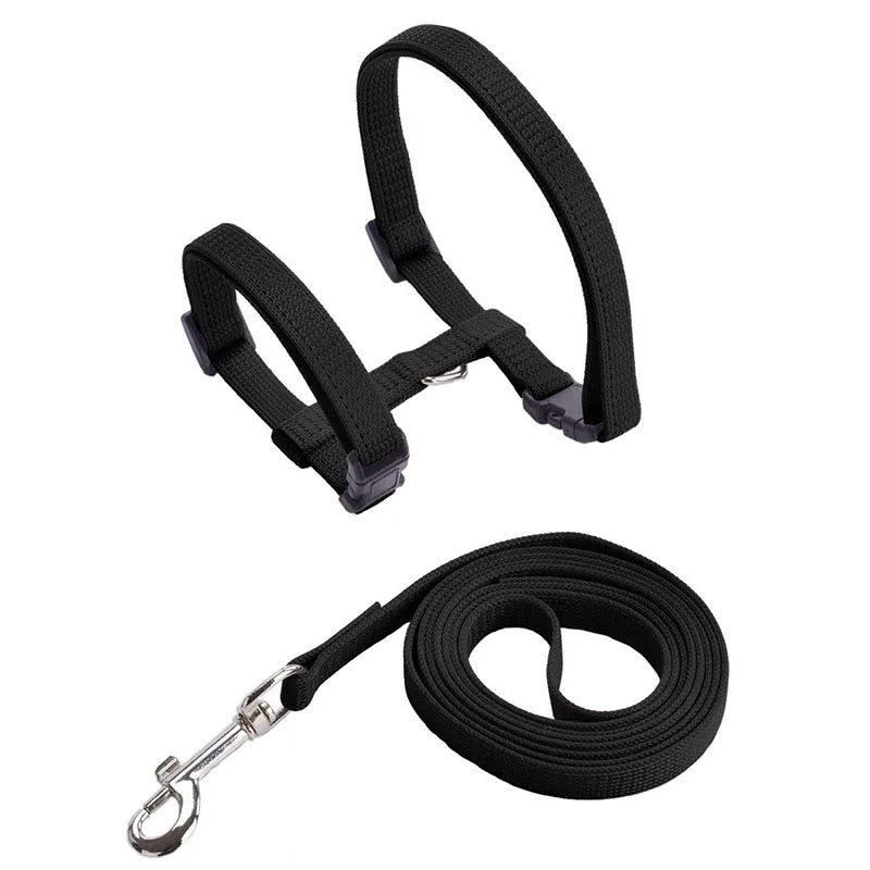 Rabbit & Cat Harness and Leash Set
