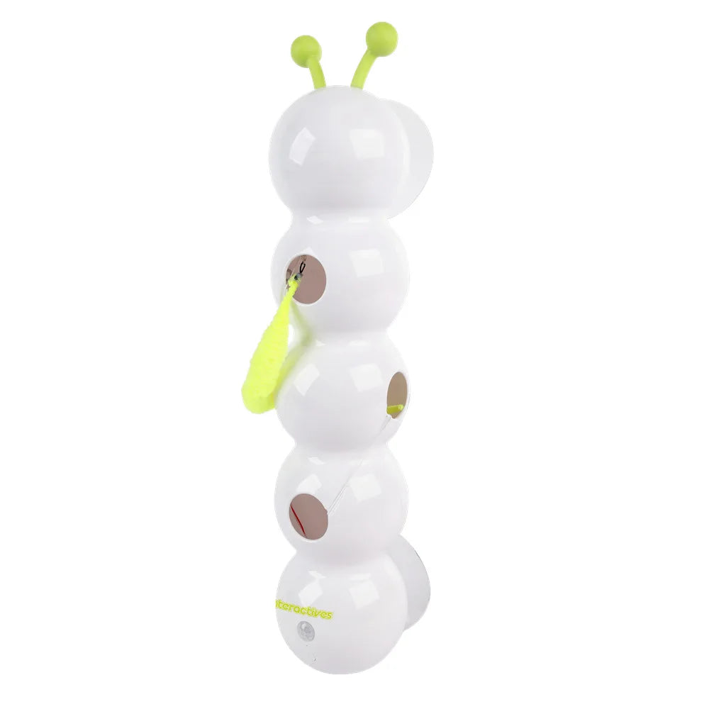 The Crawling Caterpillar Tail Adventure