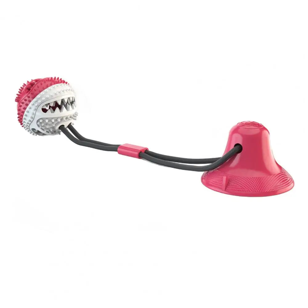 PawGrip - Interactive Dog Chew & Treat Toy