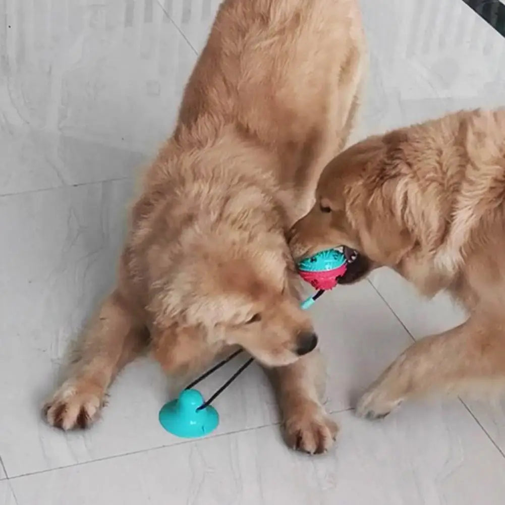 PawGrip - Interactive Dog Chew & Treat Toy