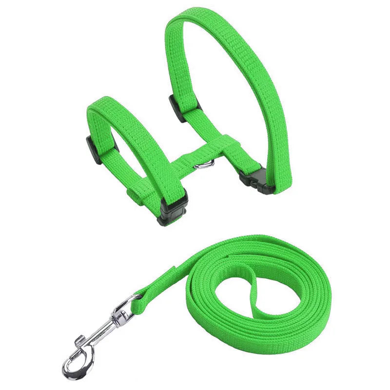 Rabbit & Cat Harness and Leash Set