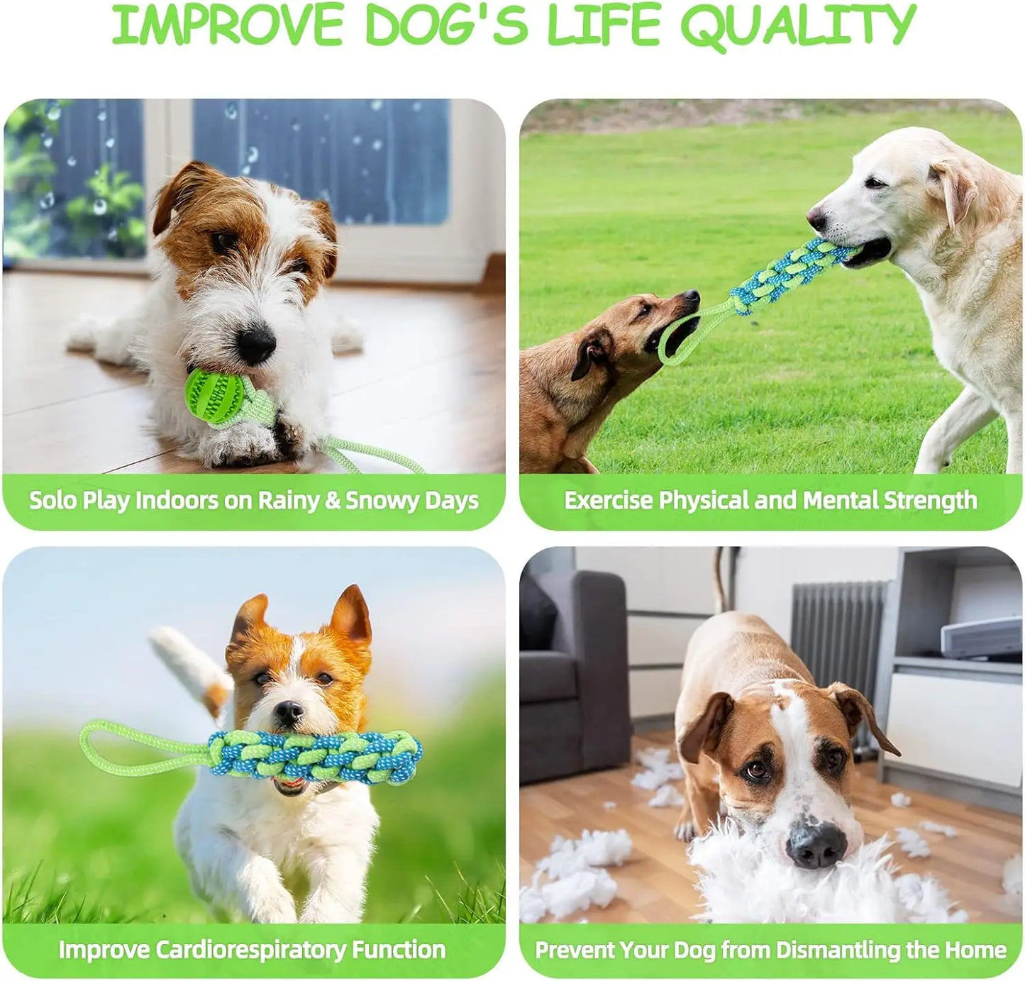 TugPro - Interactive Bungee Rope Toy for Dogs