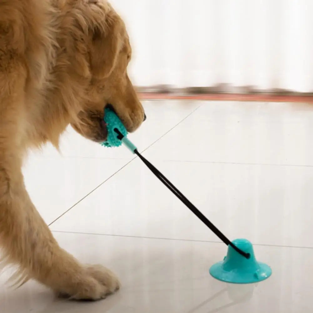 PawGrip - Interactive Dog Chew & Treat Toy