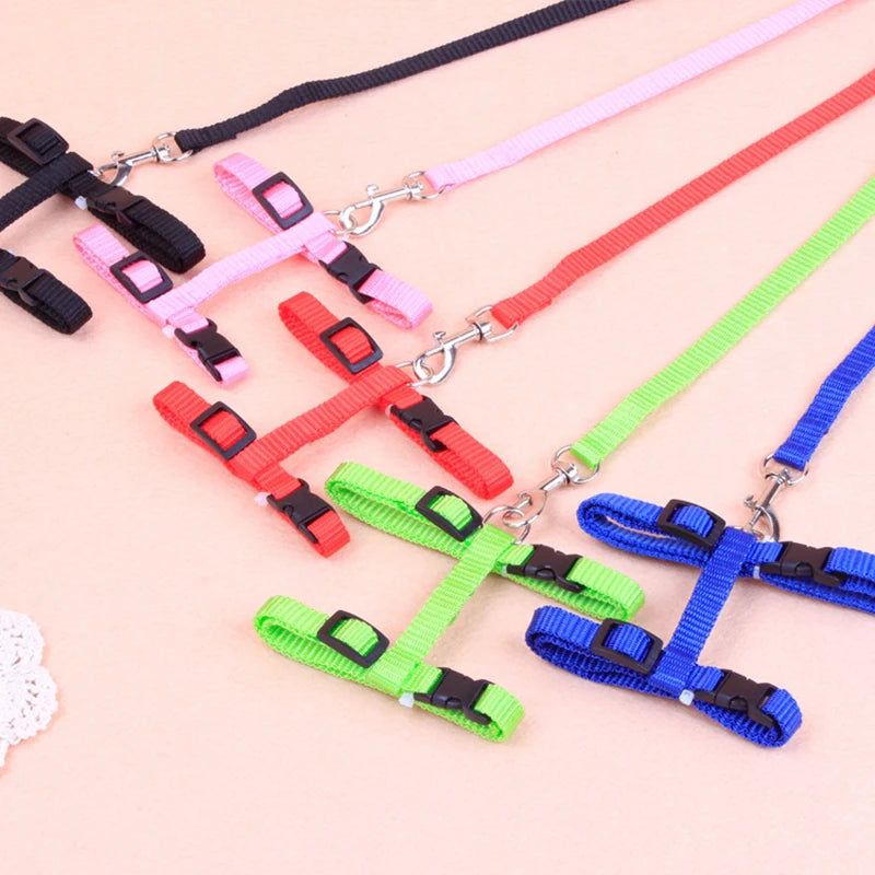 Rabbit & Cat Harness and Leash Set