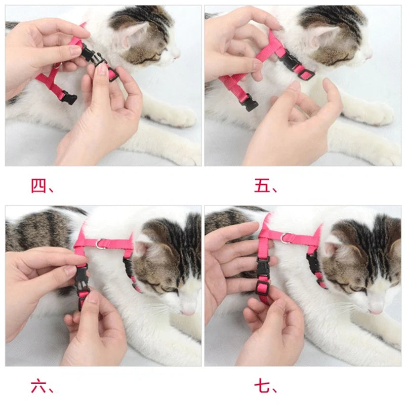 Rabbit & Cat Harness and Leash Set