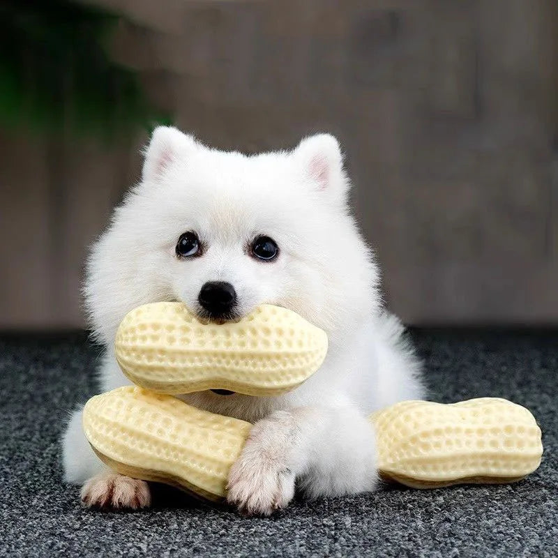 Peanut Squeaky Dog Chew Toy