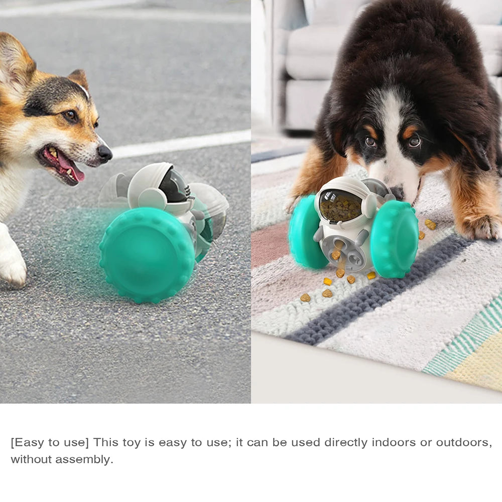 PawTreat – Interactive Slow Feeder