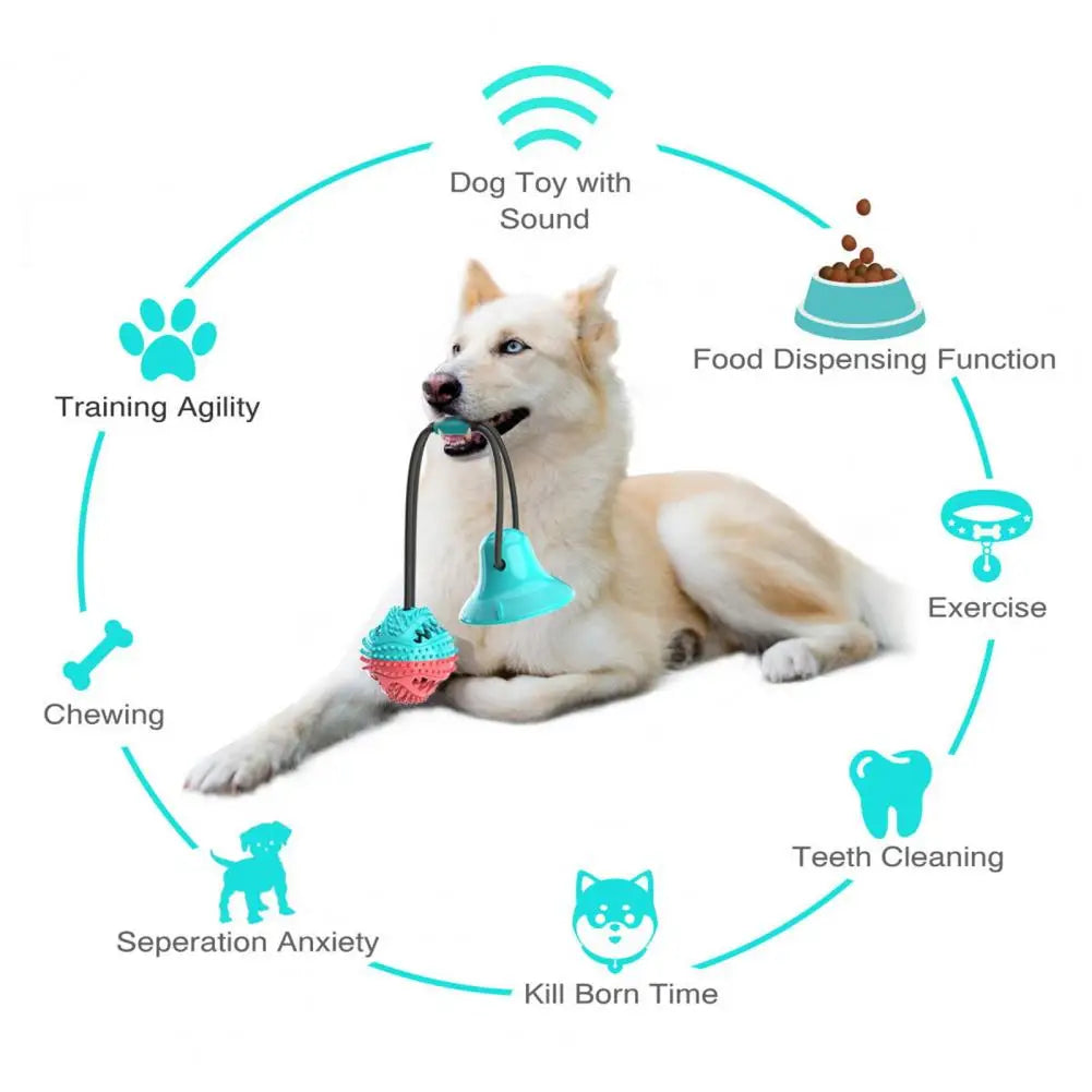 PawGrip - Interactive Dog Chew & Treat Toy