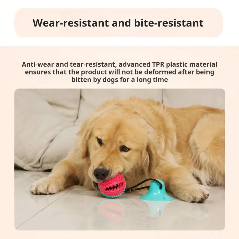 PawGrip - Interactive Dog Chew & Treat Toy