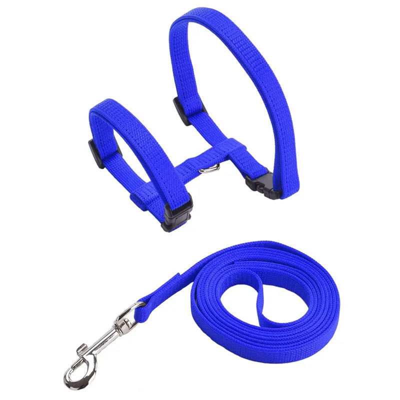 Rabbit & Cat Harness and Leash Set