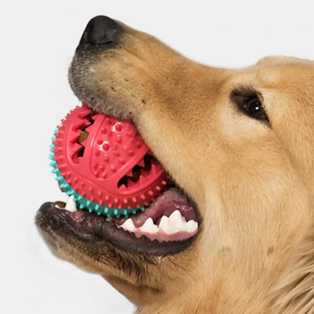 PawGrip - Interactive Dog Chew & Treat Toy