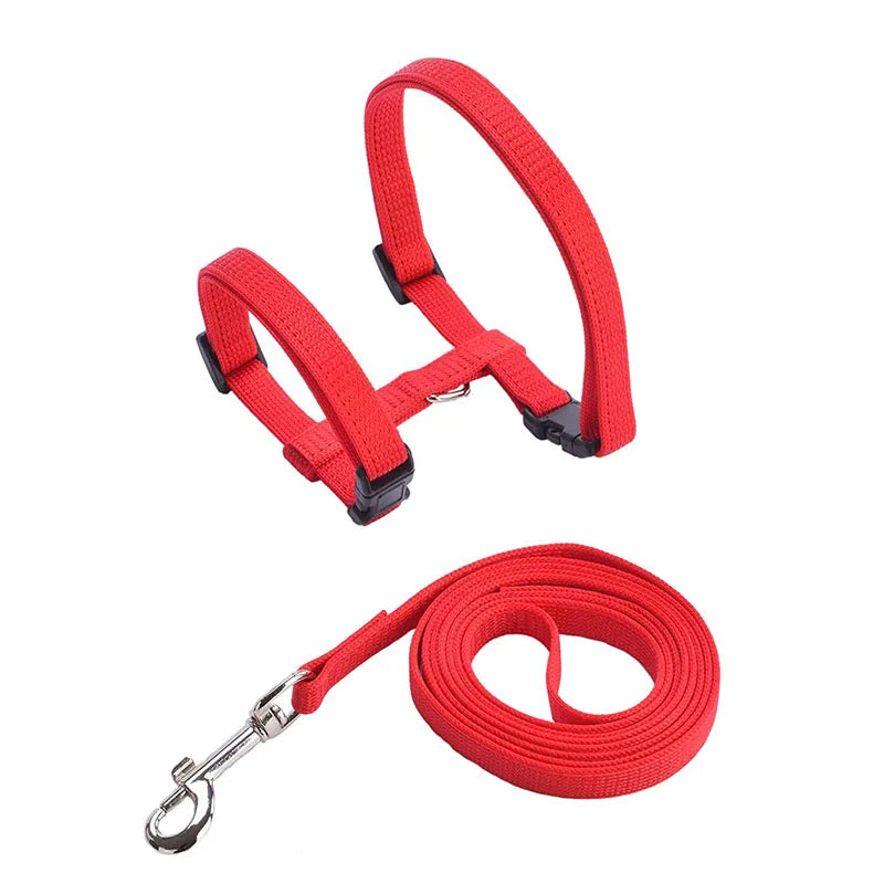 Rabbit & Cat Harness and Leash Set
