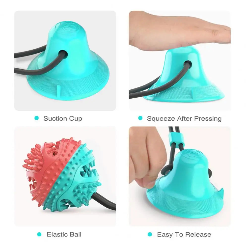 PawGrip - Interactive Dog Chew & Treat Toy
