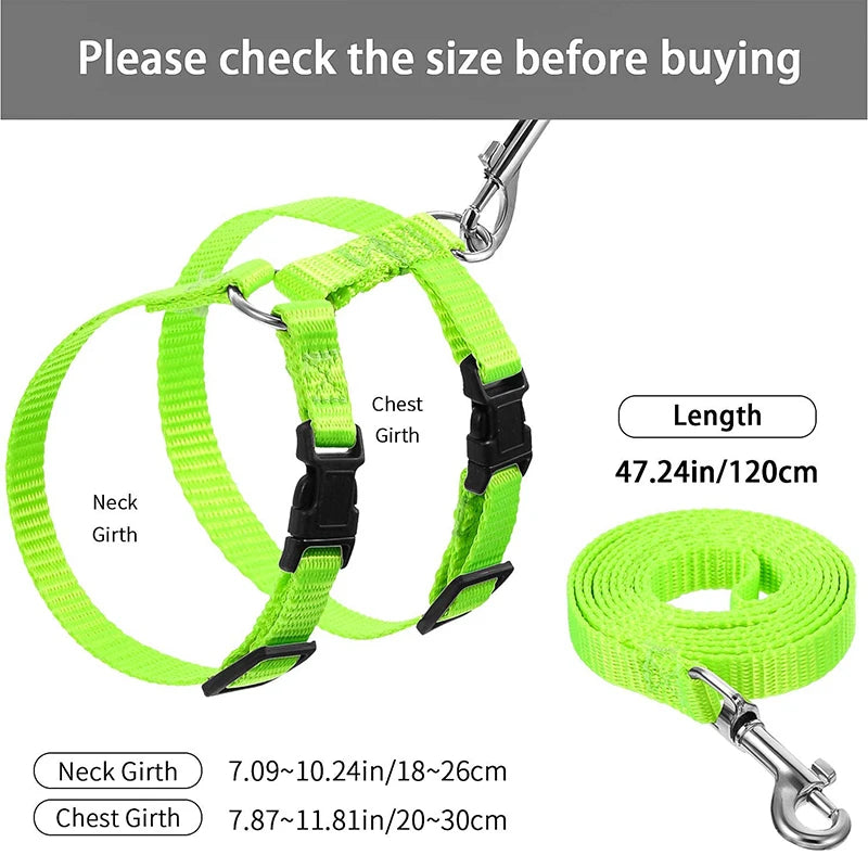 Rabbit & Cat Harness and Leash Set