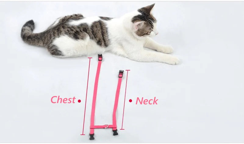 Rabbit & Cat Harness and Leash Set