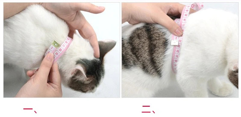 Rabbit & Cat Harness and Leash Set