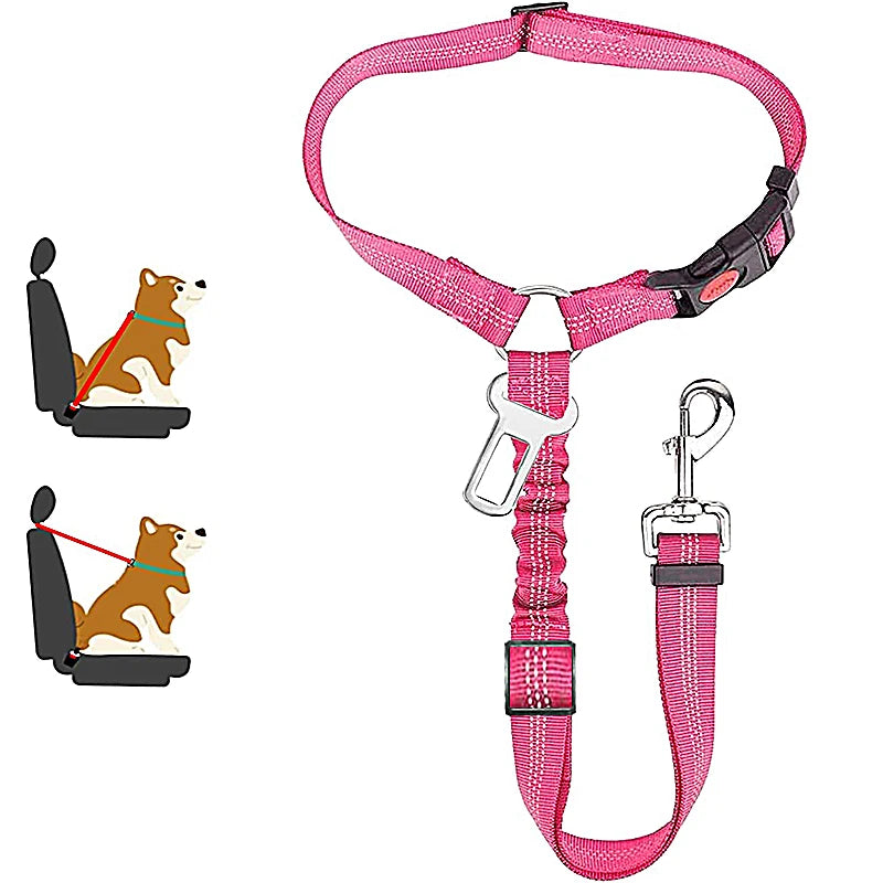 SafeRide 2-in-1 Pet Seat Belt Leash