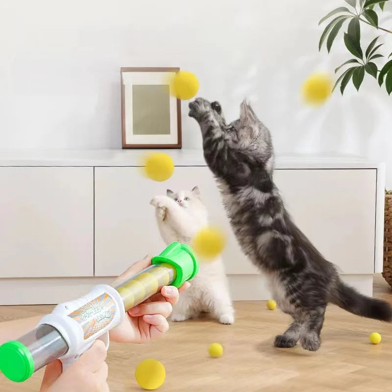 Fun Launcher Toy for Cats