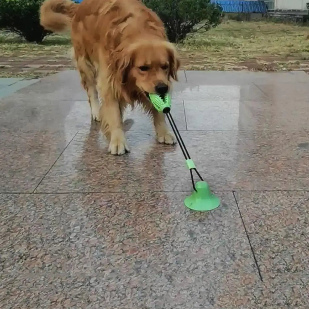 PawGrip - Interactive Dog Chew & Treat Toy