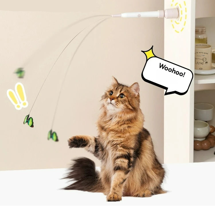 PawWhirl – Automatic Electric Cat Teaser Toy