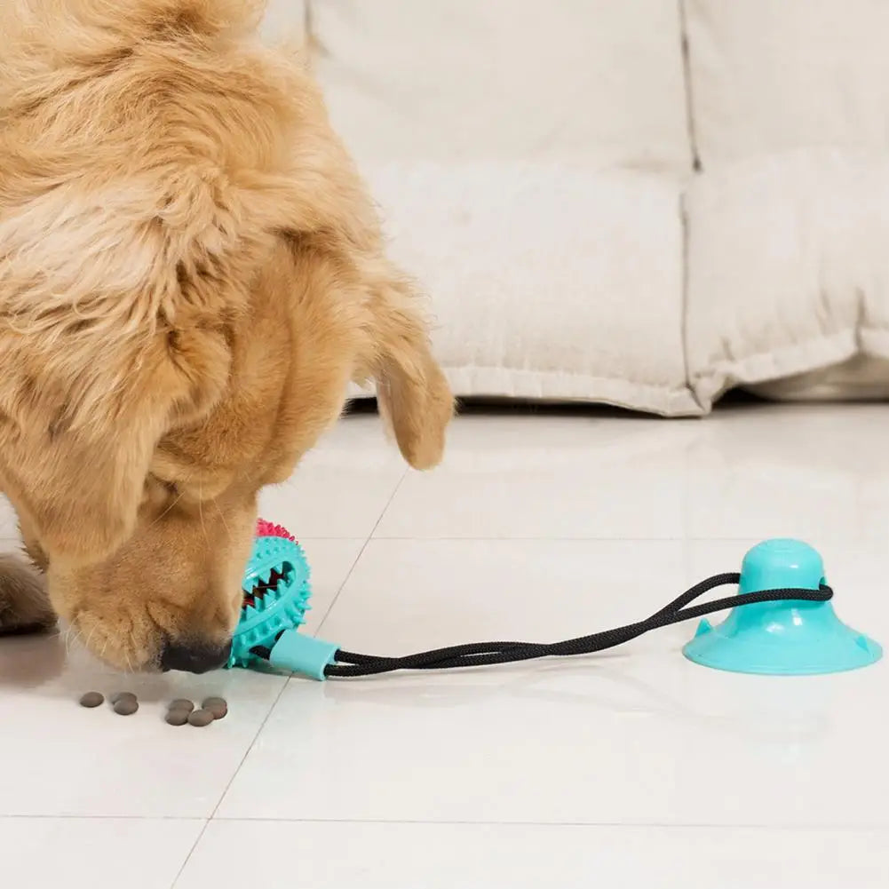 PawGrip - Interactive Dog Chew & Treat Toy