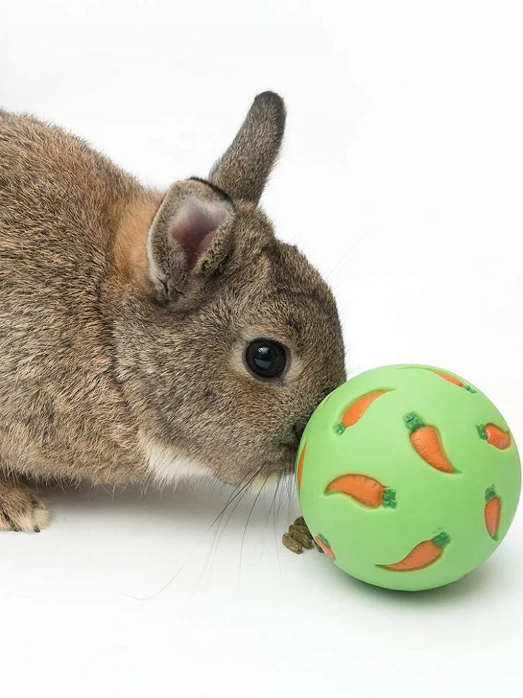 Rabbit Treat Ball – Interactive Snack Dispensing Toy