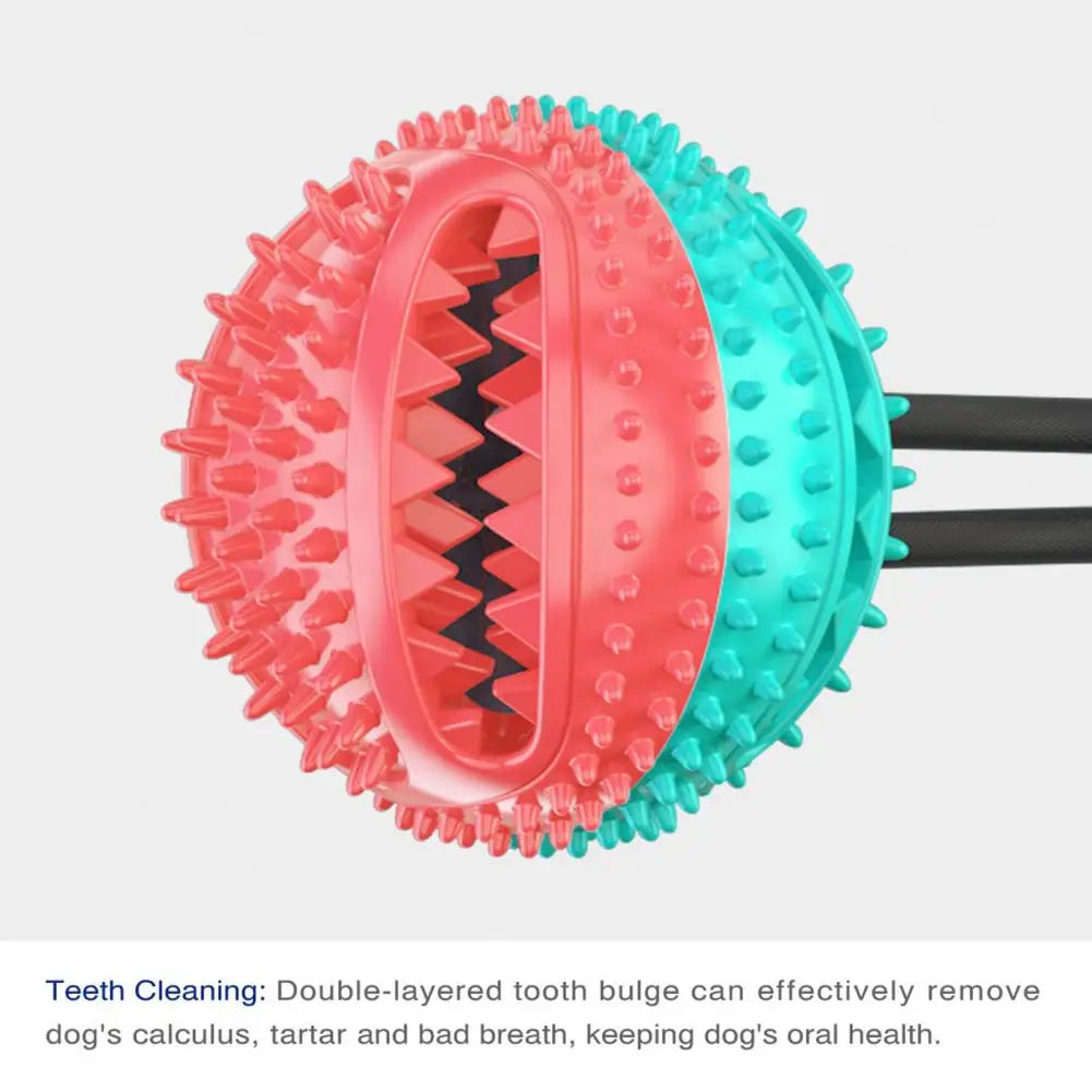 PawGrip - Interactive Dog Chew & Treat Toy