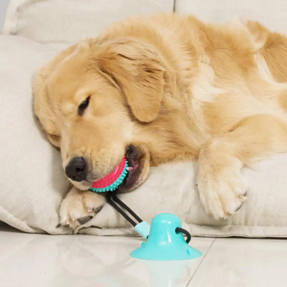 PawGrip - Interactive Dog Chew & Treat Toy
