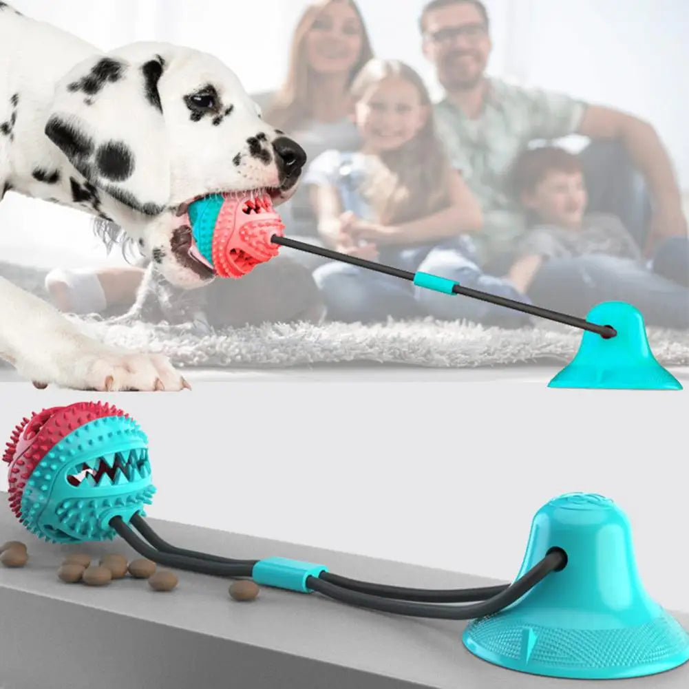 PawGrip - Interactive Dog Chew & Treat Toy
