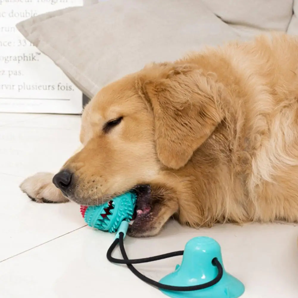 PawGrip - Interactive Dog Chew & Treat Toy