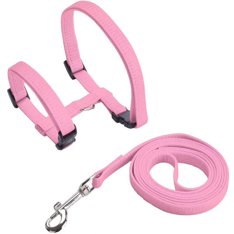Rabbit & Cat Harness and Leash Set