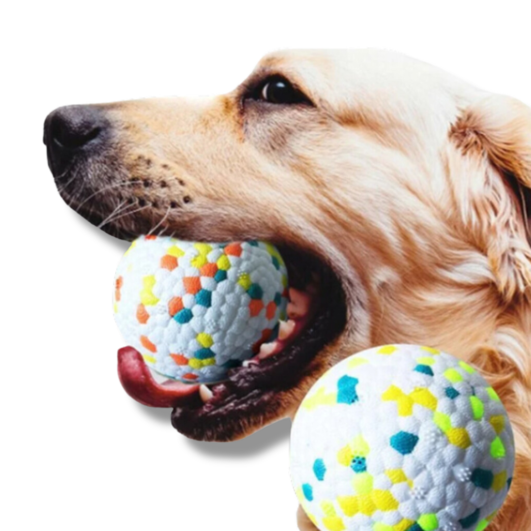 Dogs