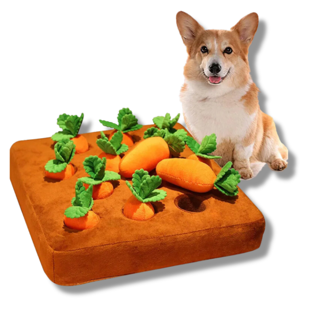 Snuffle Toy - Carrot