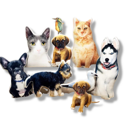 Customization Pet Cushion