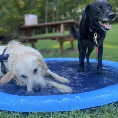 Summer Pet Inflatable Water Sprinkler