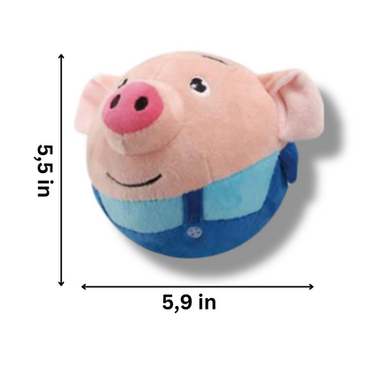 Bouncing Pig Toy