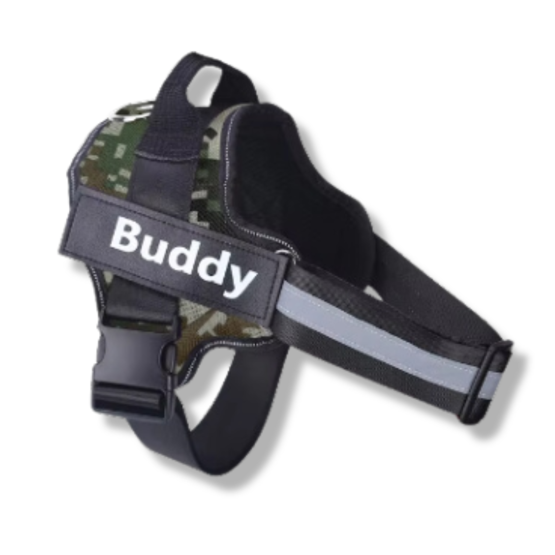 Personalized No-Pull Dog Harness