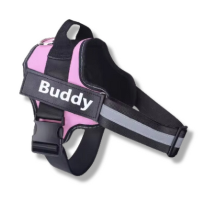 Personalized No-Pull Dog Harness