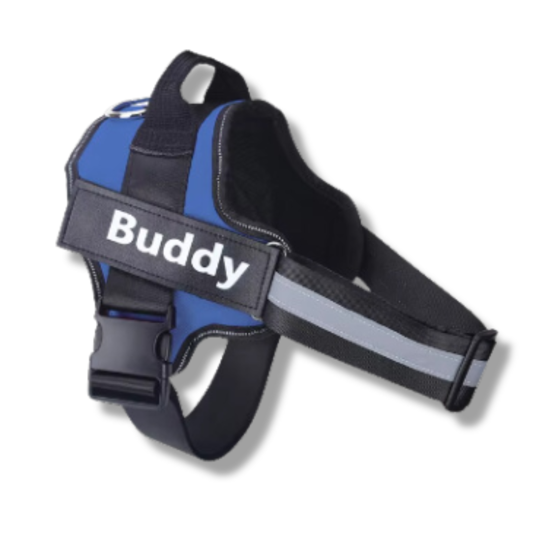 Personalized No-Pull Dog Harness