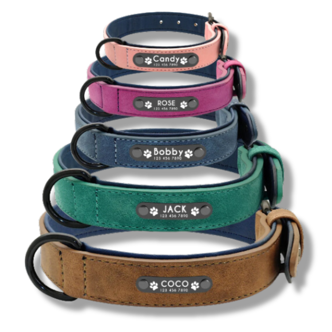 Personalized Leather Dog Collar and Leash