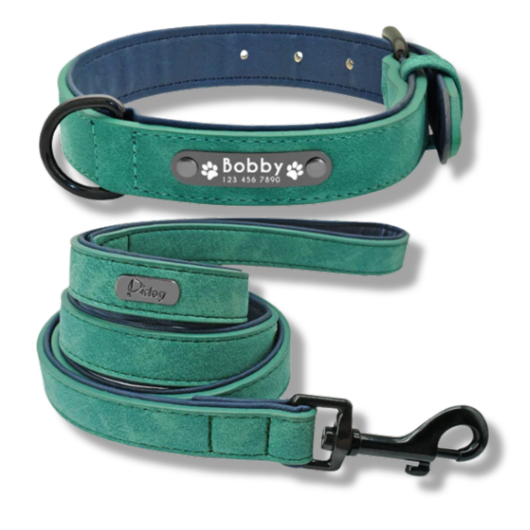 Personalized Leather Dog Collar and Leash