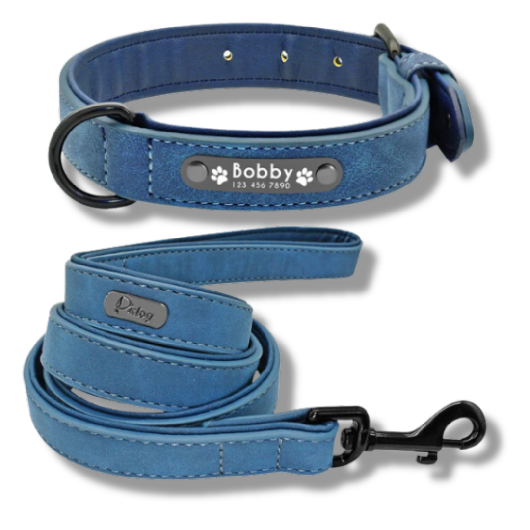 Personalized Leather Dog Collar and Leash