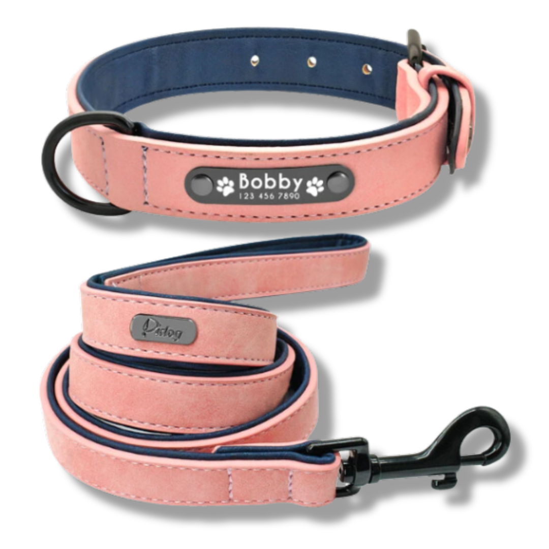 Personalized Leather Dog Collar and Leash