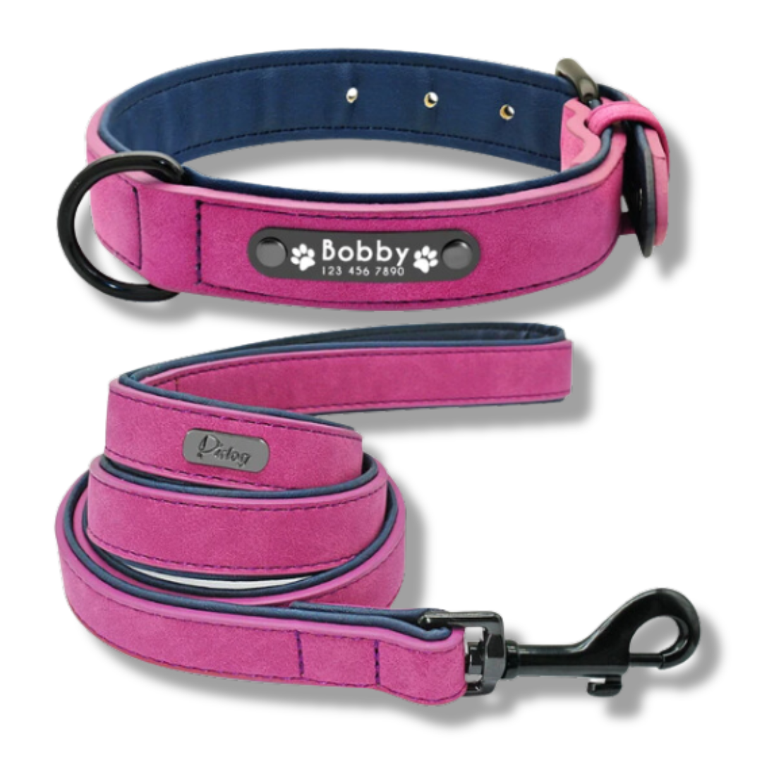 Personalized Leather Dog Collar and Leash