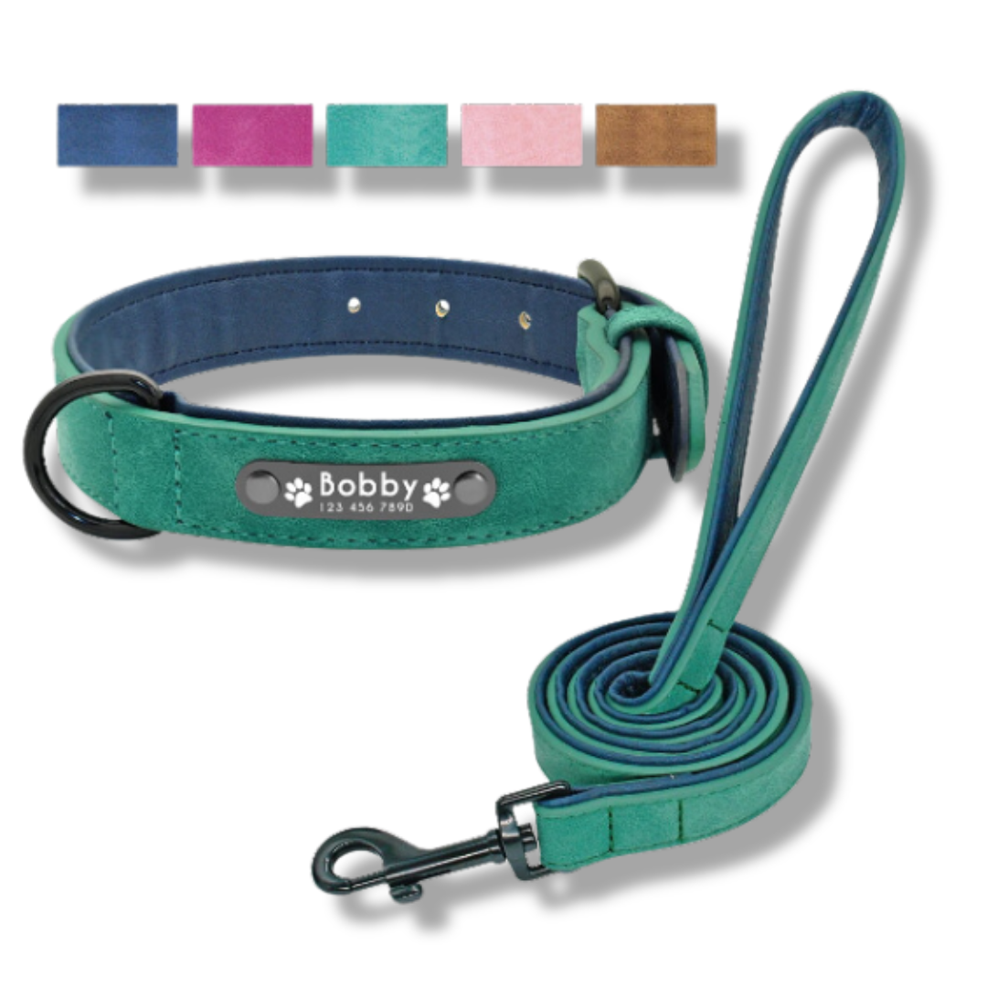 Personalized Leather Dog Collar and Leash