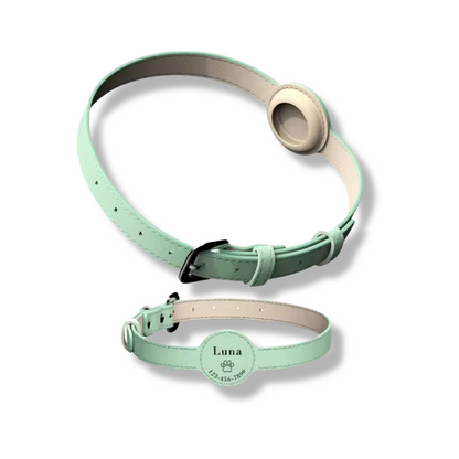 Personalized AirTag Pet Collar