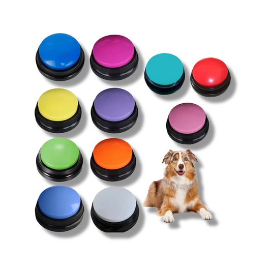 Pet Speak Recording Toy