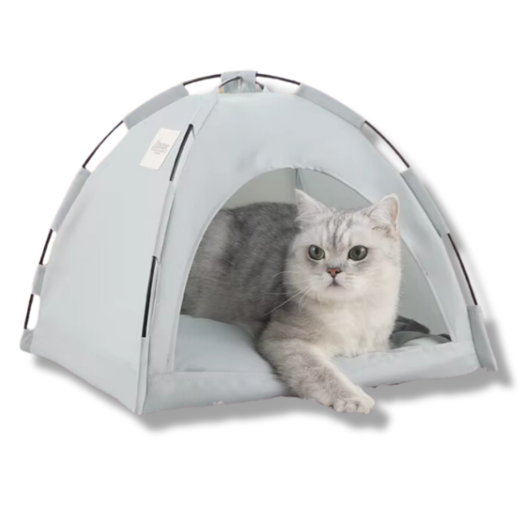 Cat Tent Bed